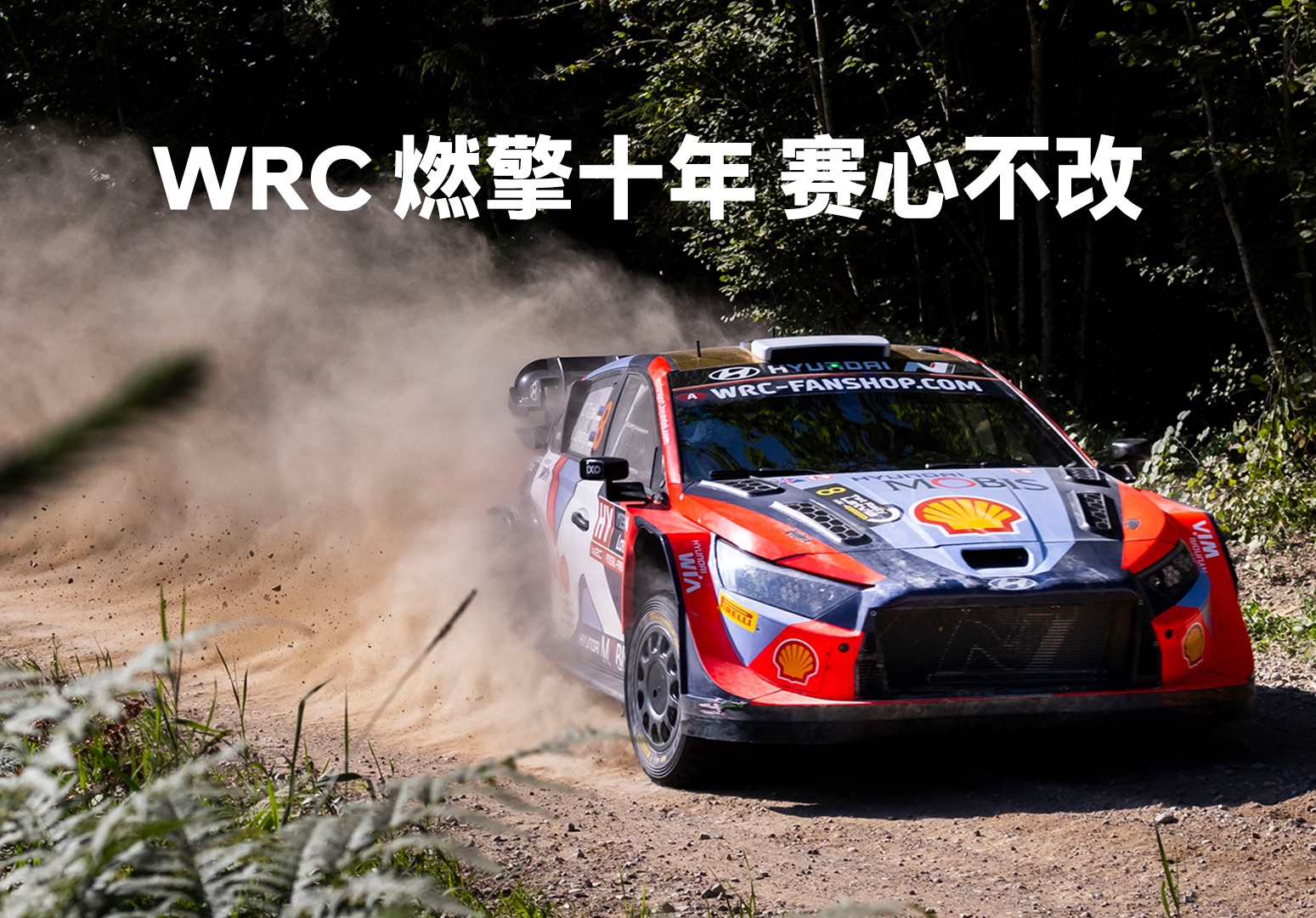 xingkong Sport登录入口-包含WRC新规则上线：极速变革激发新战火的词条