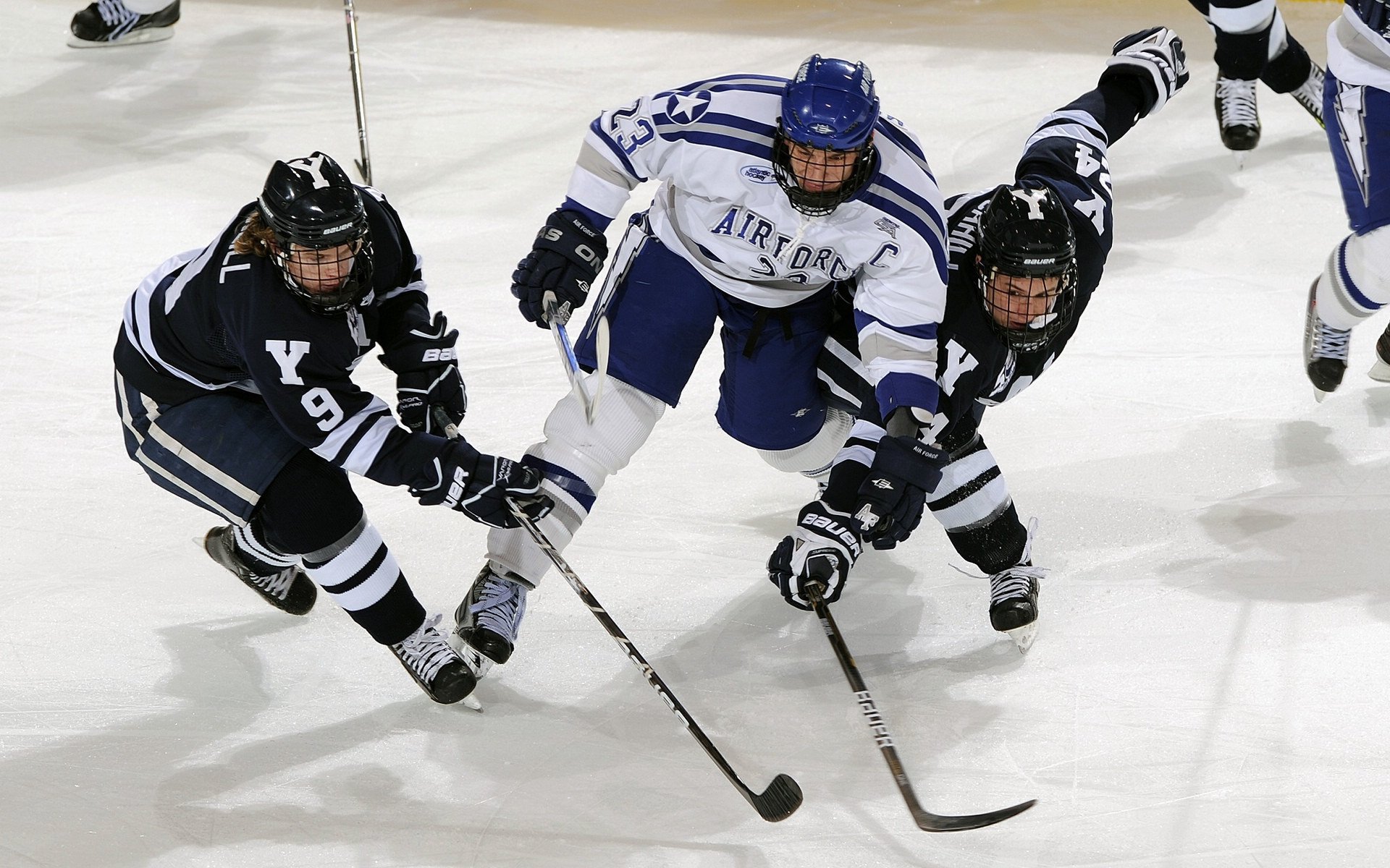 南非羚羊队防守担当：皮特·斯图斯无愧为世界最佳后排，南非羚羊皮可以干嘛用